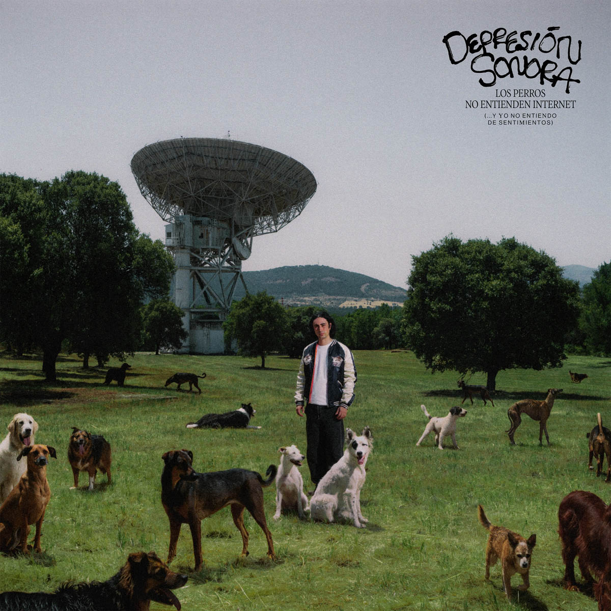 Depresión Sonora lanza su nuevo álbum: Los Perros no Entienden Internet (… Y Yo no Entiendo de&nbsp;Sentimientos)